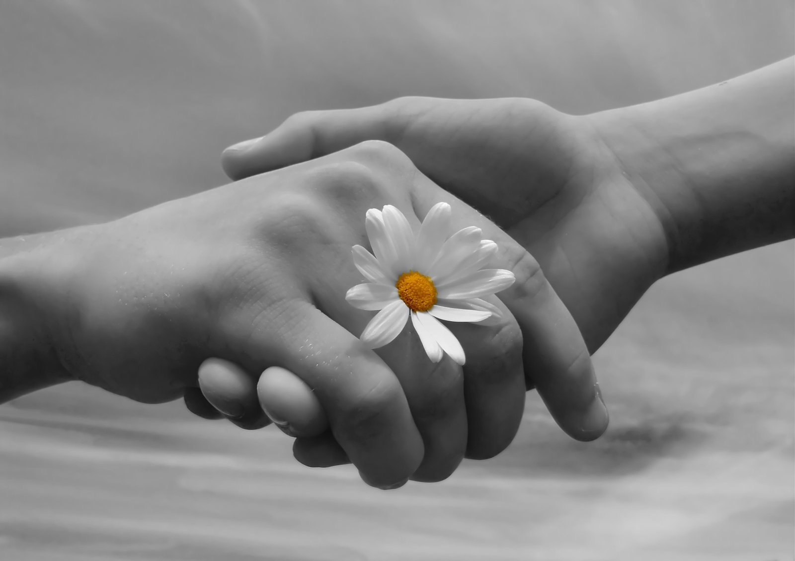 Dowry-free matrimony — wedding couple